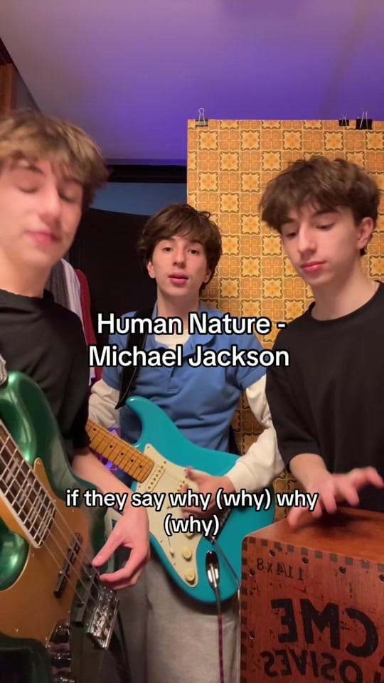 Post 9 by Birdland on TikTok (video)