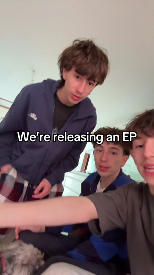 Post 2 by Birdland on TikTok (video)