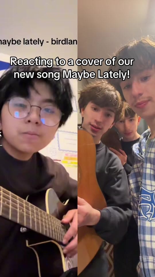 Post 7 by Birdland on TikTok (video)