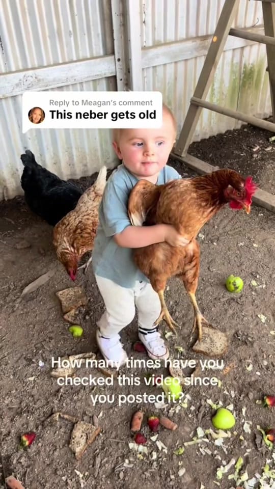 Post 2 by 🇦🇺Yeah the Grays Family🇦🇺 on TikTok (video)