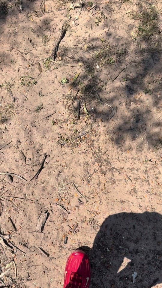 Post 9 by ⠀ on TikTok (video)
