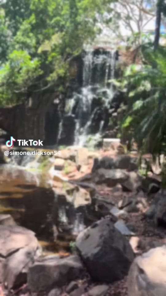 Post 9 by Simone Dickson on TikTok (video)