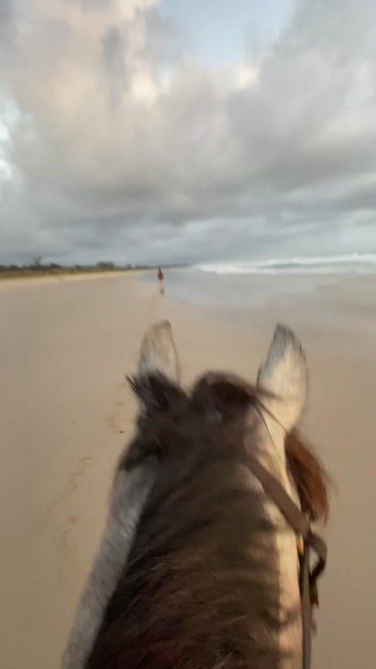 Post 6 by moz on TikTok (video)