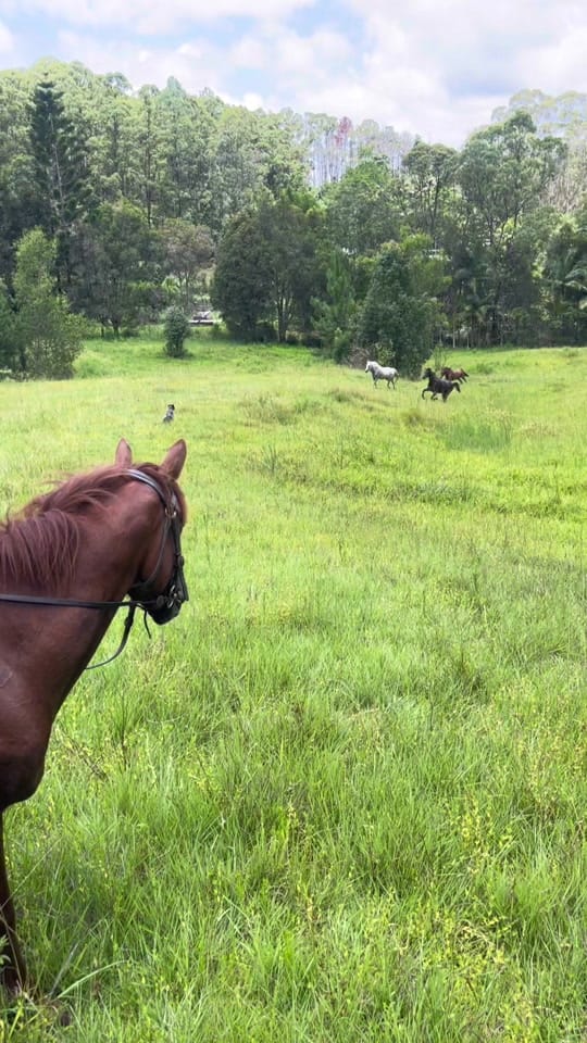 Post 10 by moz on TikTok (video)