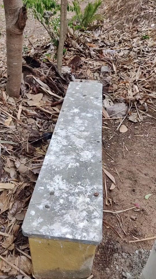 Post 8 by Ananya on TikTok (video)