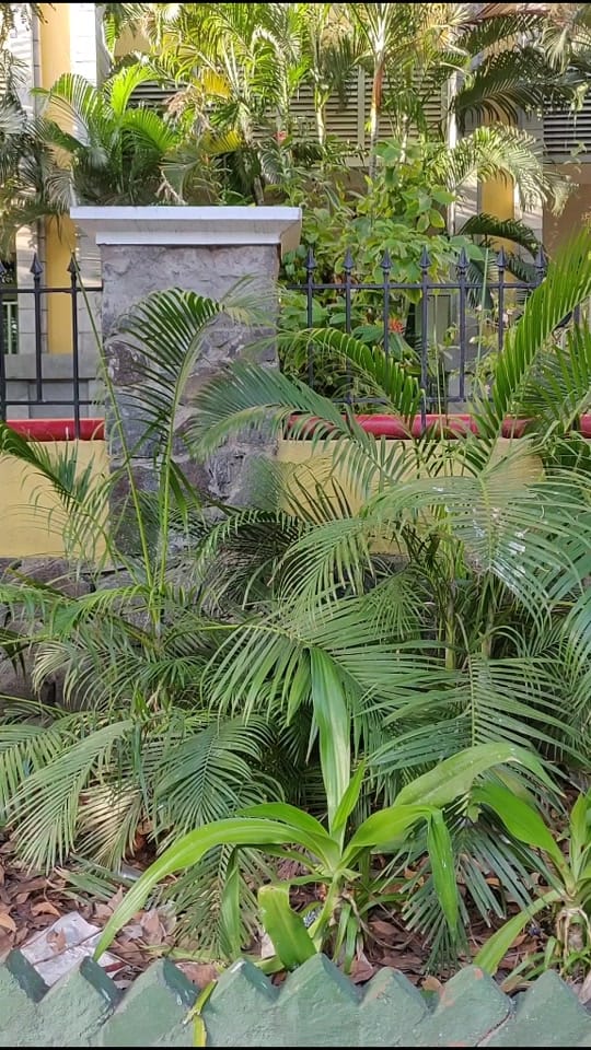 Post 5 by Ananya on TikTok (video)