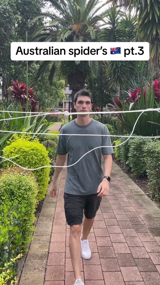 Post 10 by Kick Neilby on TikTok (video)