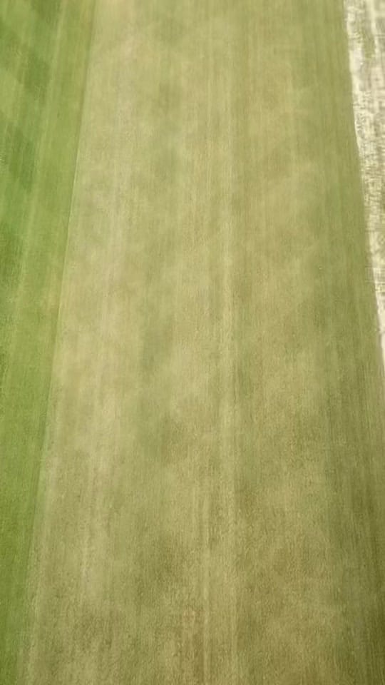 Post 1 by Allianz Stadium on TikTok (video)
