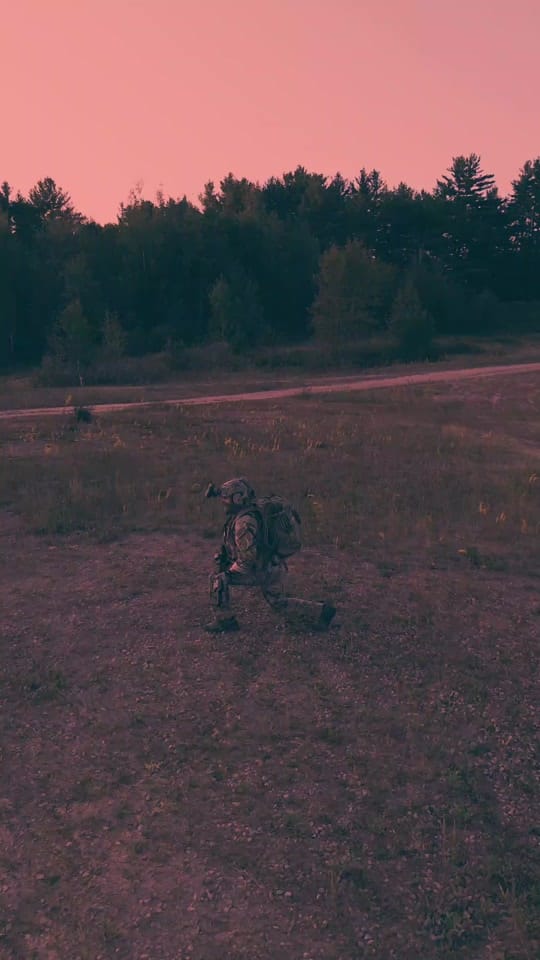 Post 5 by aussiepeelback on TikTok (video)