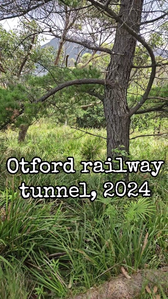 Post 3 by Aussie Urbex Sydney on TikTok (video)