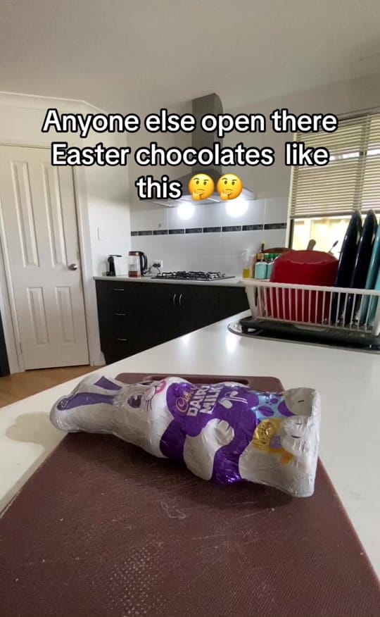 Post 8 by 🐾 ꀸꍏꁴꁴꍏ 🐾 on TikTok (video)