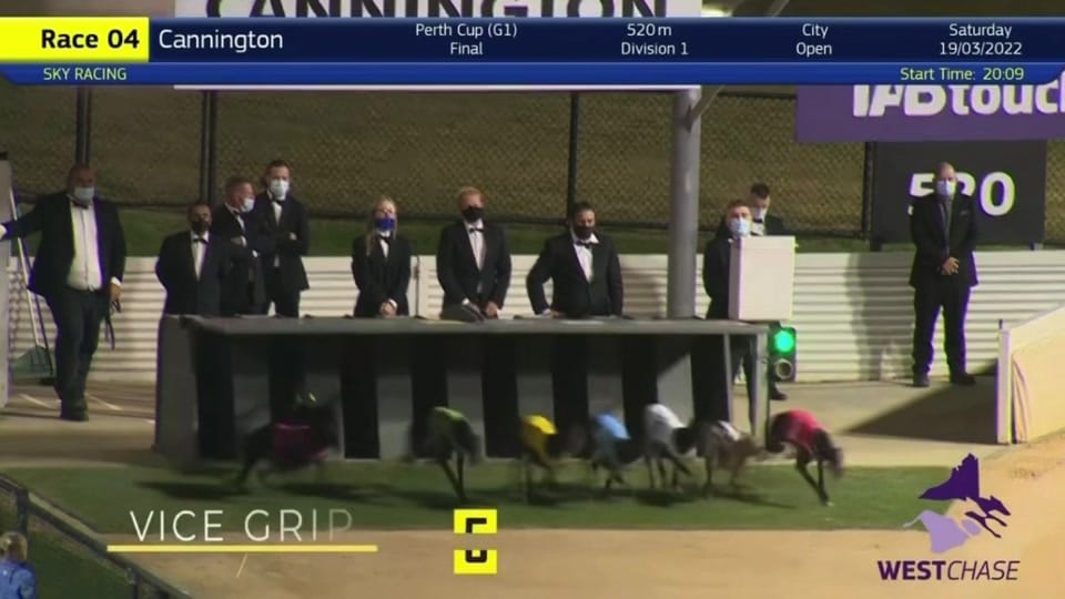 Post 9 by The Greyhound Girl 🐾 on TikTok (video)