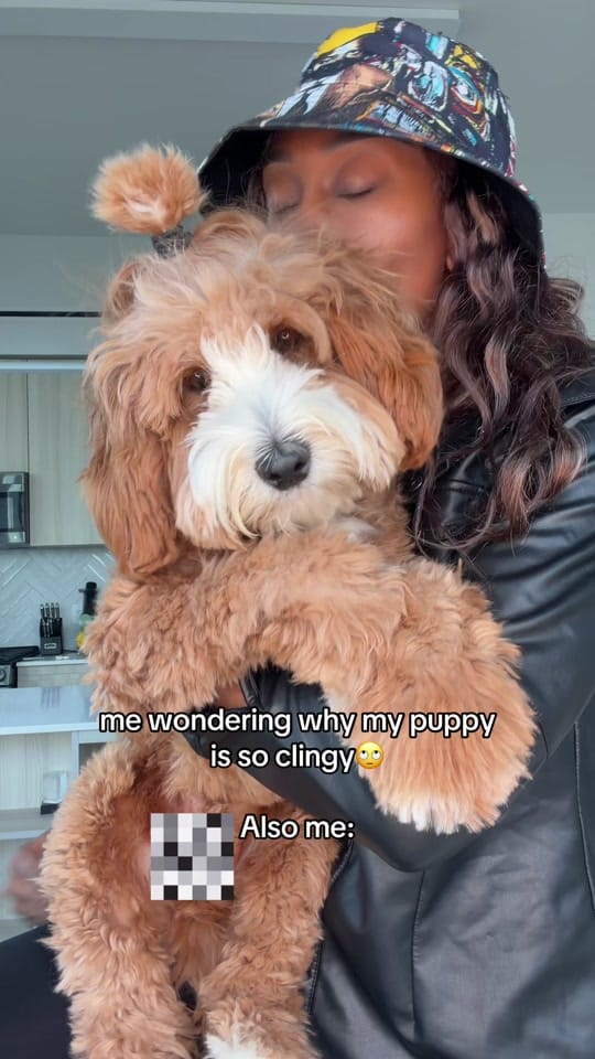 Post 5 by thatdoodlegend on TikTok (video)