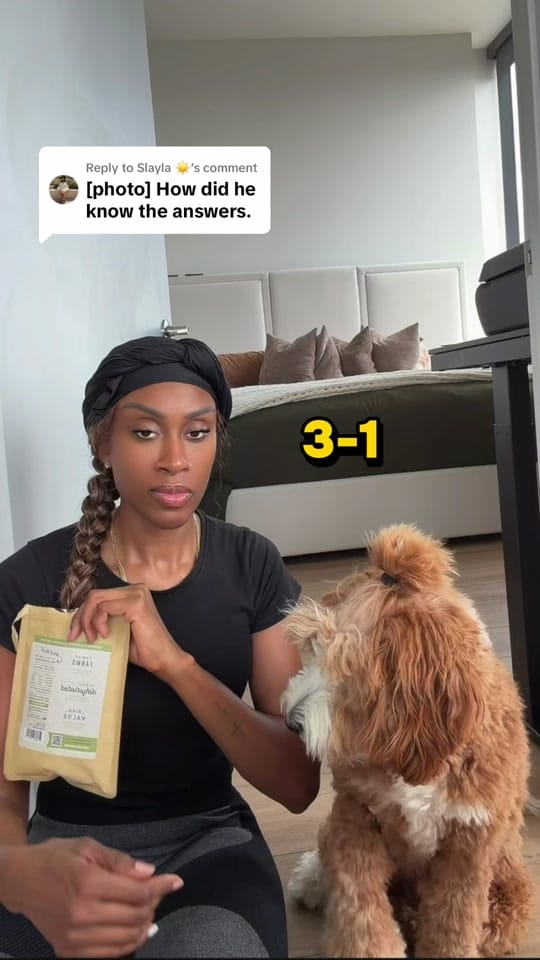 Post 3 by thatdoodlegend on TikTok (video)