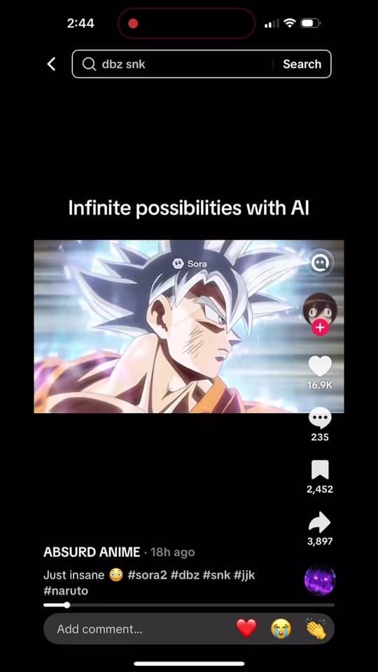 Post 3 by Punku on TikTok (video)