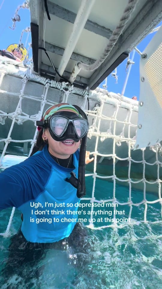 Post 8 by Temptation Sailing on TikTok (video)