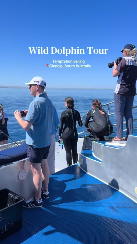 Post 7 by Temptation Sailing on TikTok (video)