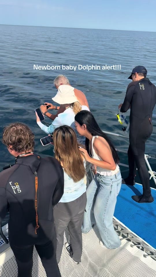 Post 4 by Temptation Sailing on TikTok (video)