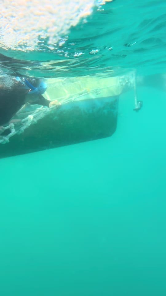 Post 2 by Temptation Sailing on TikTok (video)