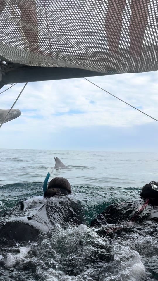 Post 9 by Temptation Sailing on TikTok (video)