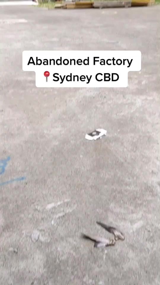 Post 8 by BANDO on TikTok (video)