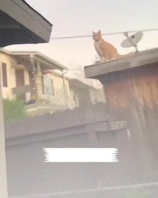 Post 1 by MD on TikTok (video)