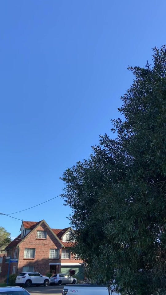 Post 6 by Aussie_musclecars on TikTok (video)