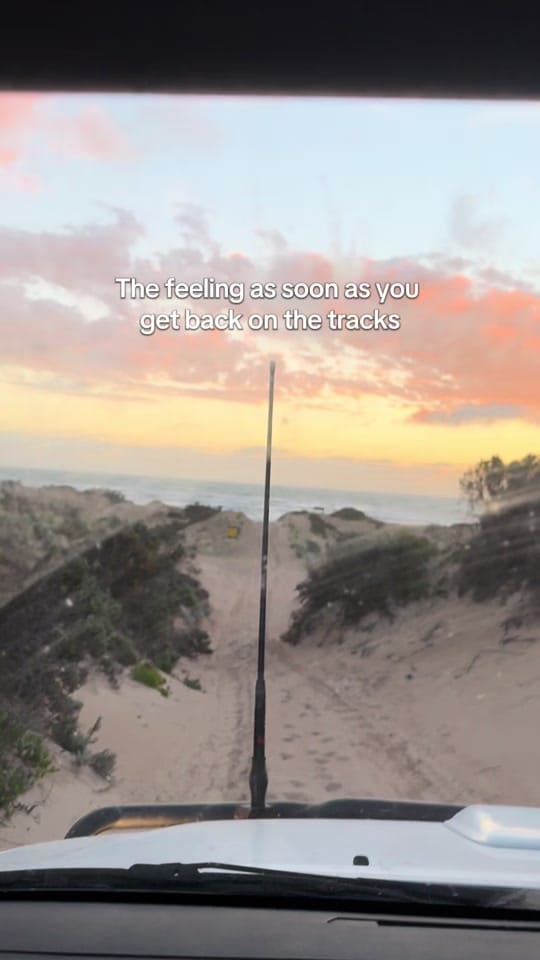 Post 4 by Ally on TikTok (video)