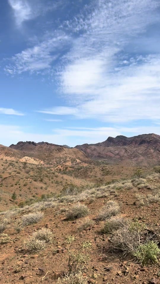 Post 2 by Ally on TikTok (video)