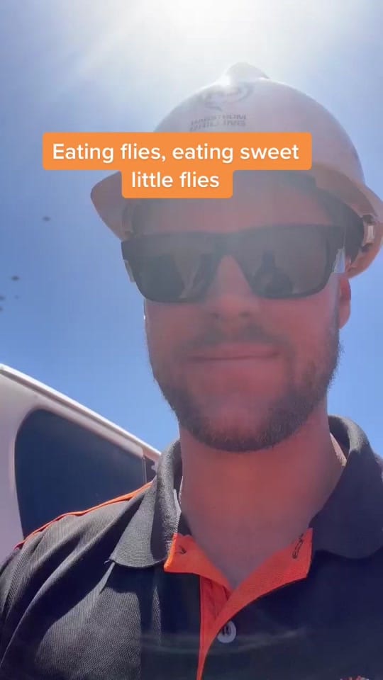 Post 8 by Broderick W. Co on TikTok (video)