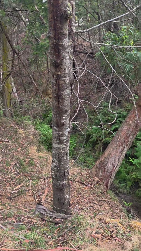 Post 8 by ausenduro on TikTok (video)