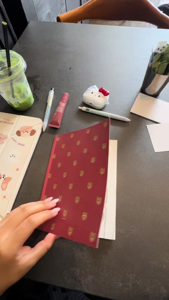 Post 1 by Minah/민아 🦝 on TikTok (video)