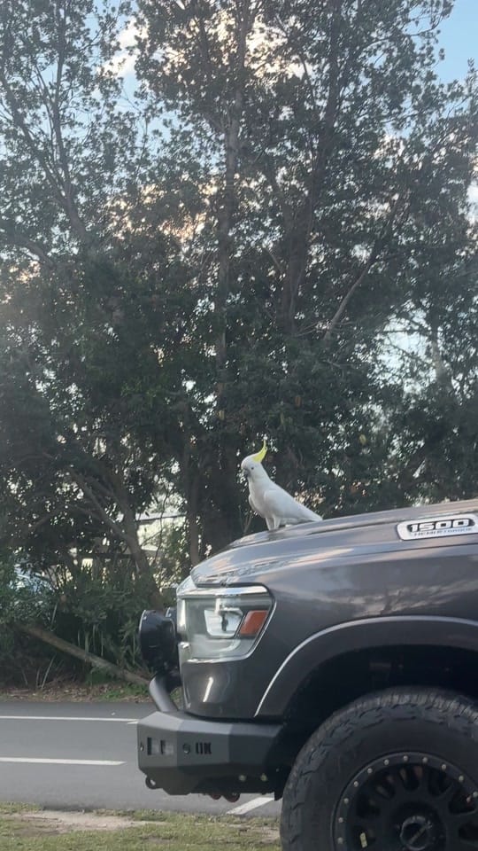 Post 5 by OutbackOdyssey on TikTok (video)