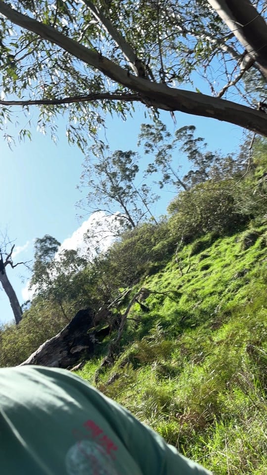 Post 1 by OutbackOdyssey on TikTok (video)