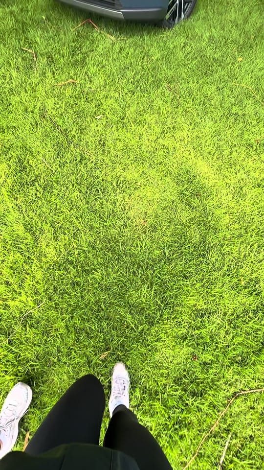 Post 3 by Maddington Toyota on TikTok (video)