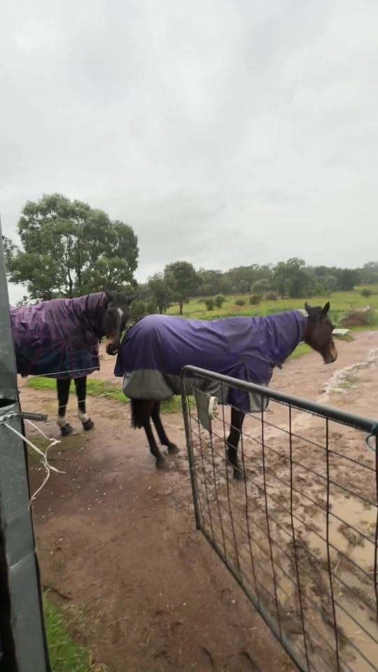 Post 2 by Emma Hardy on TikTok (video)