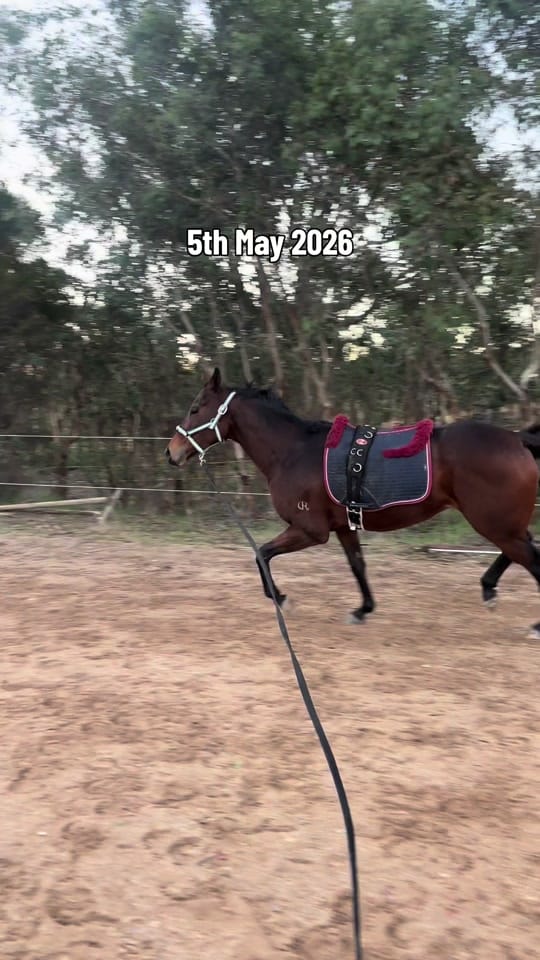 Post 8 by Emma Hardy on TikTok (video)