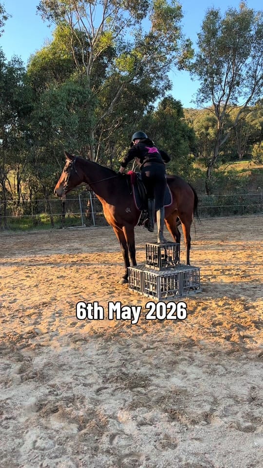 Post 3 by Emma Hardy on TikTok (video)