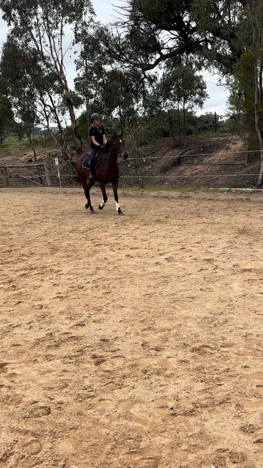 Post 4 by Emma Hardy on TikTok (video)