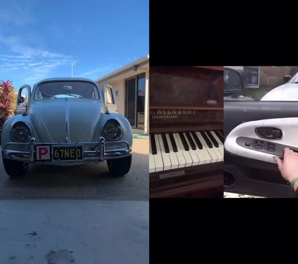 Post 9 by warriormeerkat on TikTok (video)