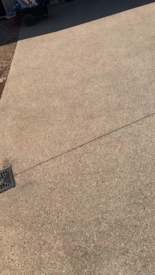 Post 1 by warriormeerkat on TikTok (video)