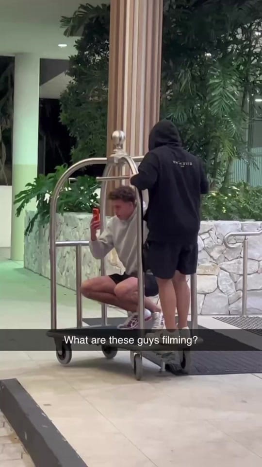 Post 6 by Australian Exotics on TikTok (video)