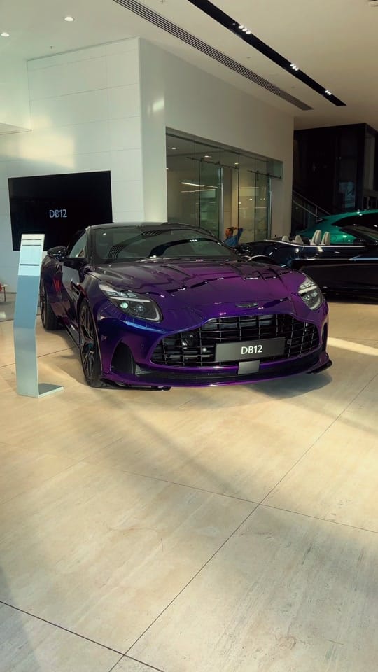 Post 10 by Australian Exotics on TikTok (video)