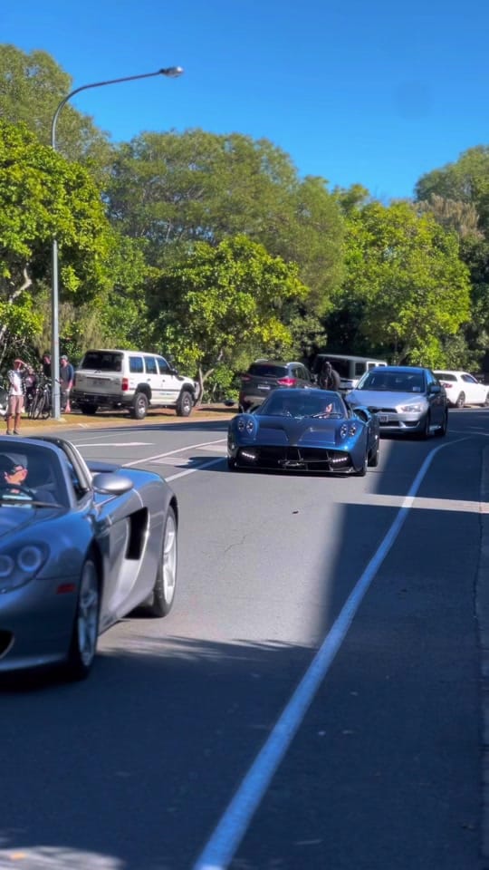 Post 4 by Australian Exotics on TikTok (video)