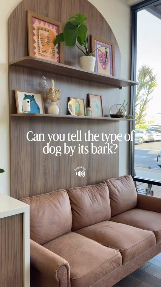 Post 8 by Dr. Sydney Pokard on TikTok (video)