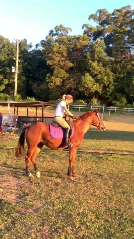 Post 2 by Jenna Mitchell on TikTok (video)