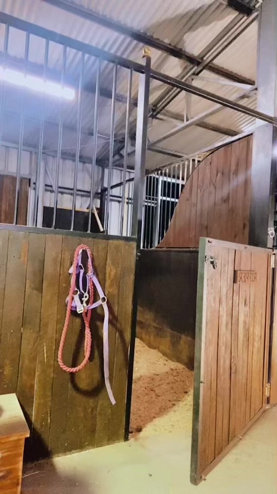 Post 9 by Jenna Mitchell on TikTok (video)