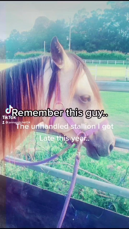 Post 7 by Jenna Mitchell on TikTok (video)