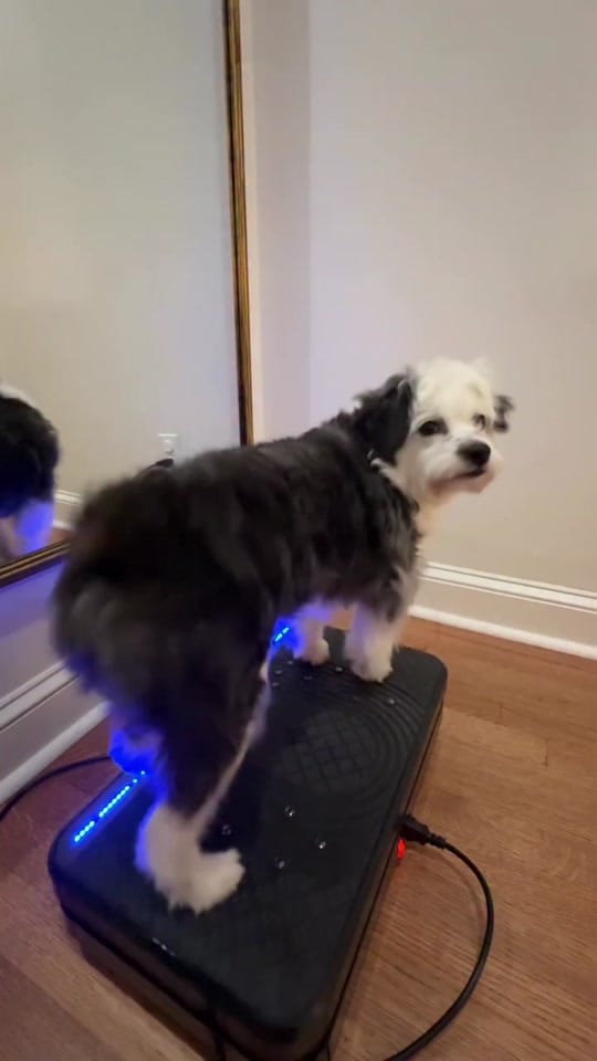 Post 8 by Lucy Lou on TikTok (video)