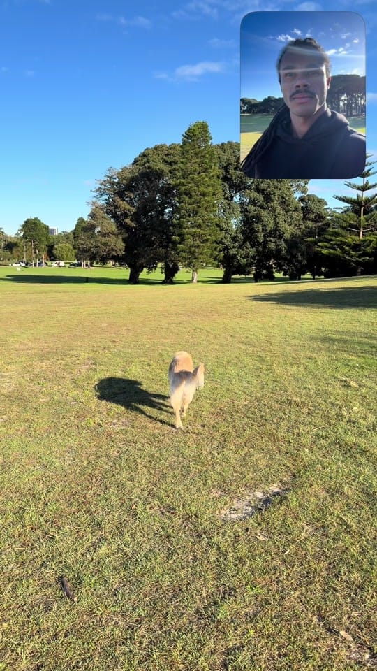 Post 2 by Apex Dog Training on TikTok (video)